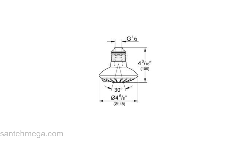 Верхний душ GROHE Euphoria Duo 27246000. Фото