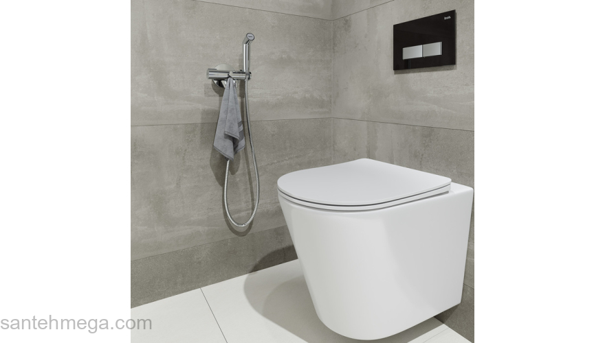 Встраиваемый смеситель с гигиеническим душем Axes IDDIS AXESBR0i08. Фото