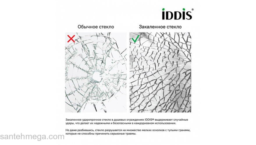 Душевая дверь распашная IDDIS Ray 110х195 RAY6CP1i69. Фото