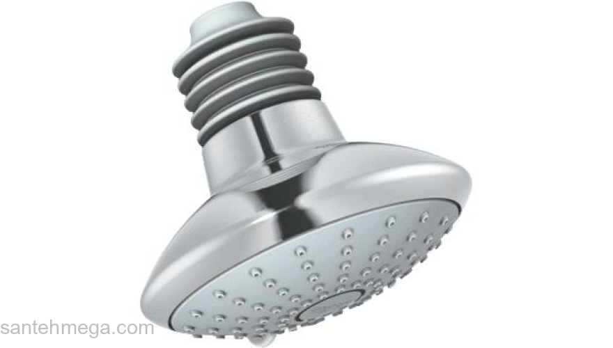 Верхний душ GROHE Euphoria Duo 27246000. Фото