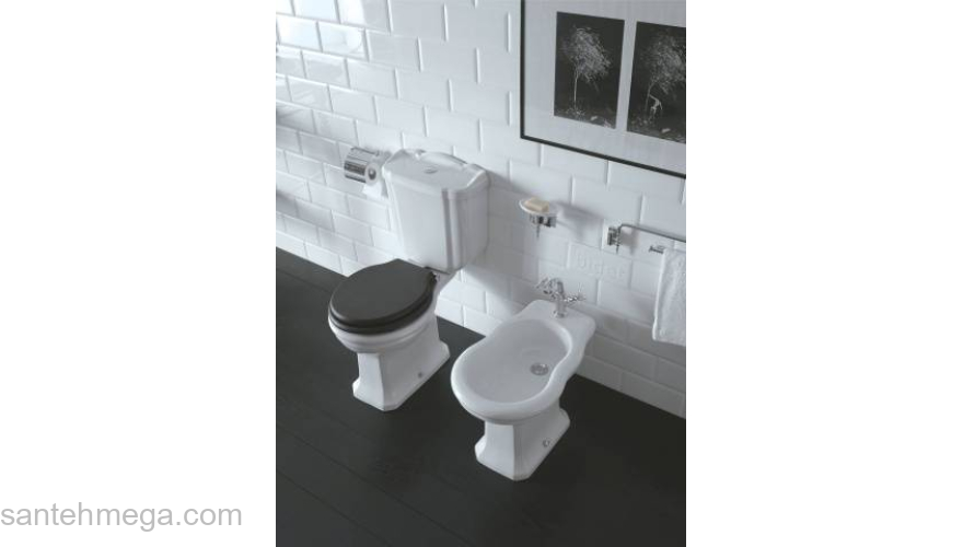 Унитаз напольный CERAMICA GLOBO SPA Paestum Vasi e Bidet 67.38 PA004.BI (слив в стену). Фото