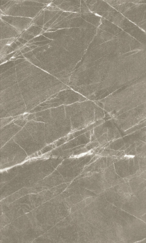 Gracia Ceramica 010100000350 Плитка облицовочная Elegance 300х500 grey 02. Фото