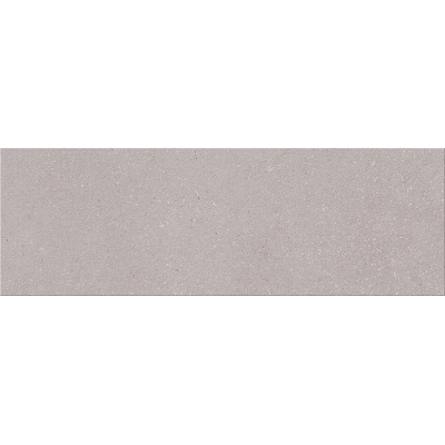 ELETTO CERAMICA 506101102 Плитка облицовочная Odense 242х700 grey. Фото