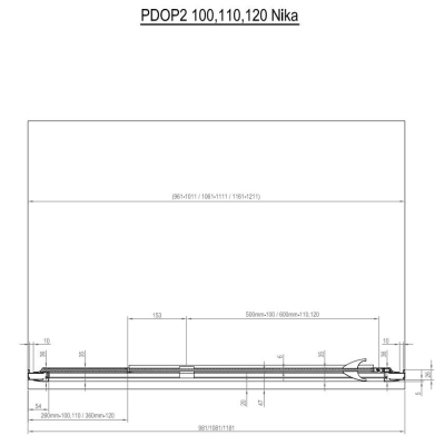Душевая дверь двухэлементная RAVAK Pivot PDOP2-100 (белестящий+транспарент) 03GA0C00Z1. Фото