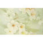 Unitile 010301001893 Декор Сакура 250х400 зелёный 01 Unitile 010301001893 Декор Сакура 250х400 зелёный 01